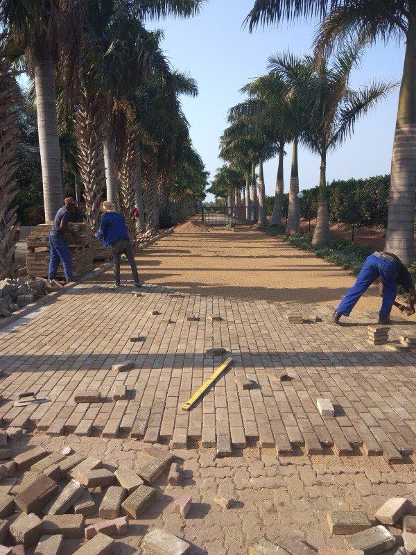 Herringbone driveway paving installed in Tzaneen
